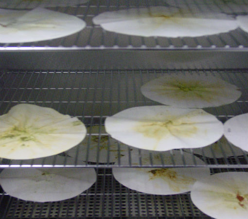 Oven